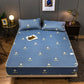 Summer Ice Silk Mat Washable Mattress Protector