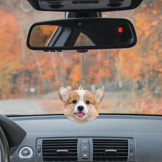 🐶🐱Personalized Pet Photo Decoration