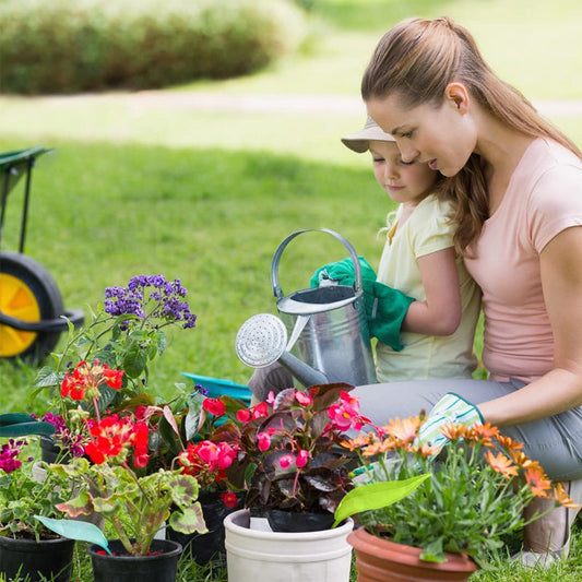 Plant Water Funnel-Watering leaves