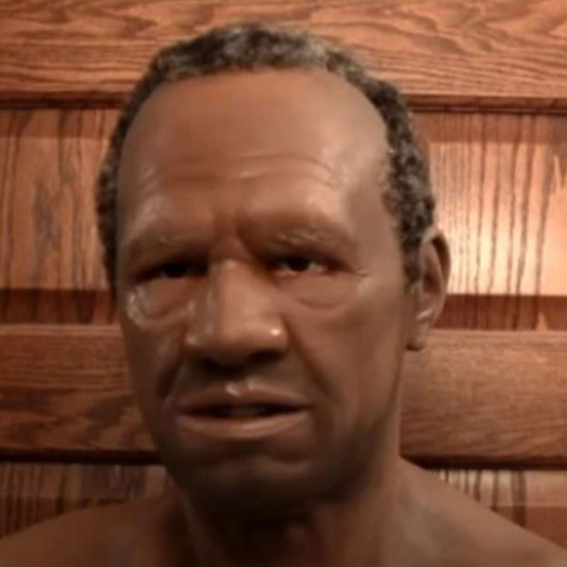 🎅Human Skin Mask Set (Limited time offer)