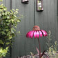 Outdoor Cone Flower Bird Feeder