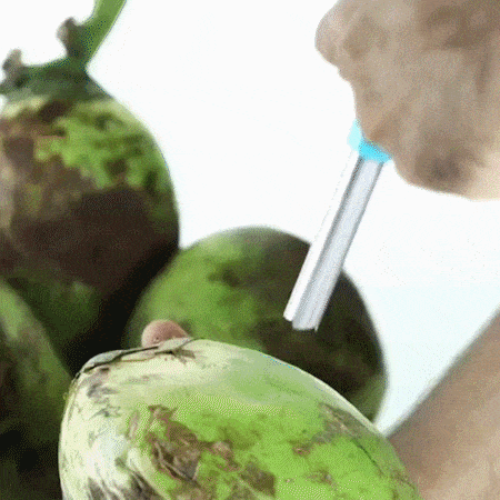 Coconut Opener Tool With 4 Reusable Steel Straws