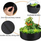 Vegetable Growth Bag