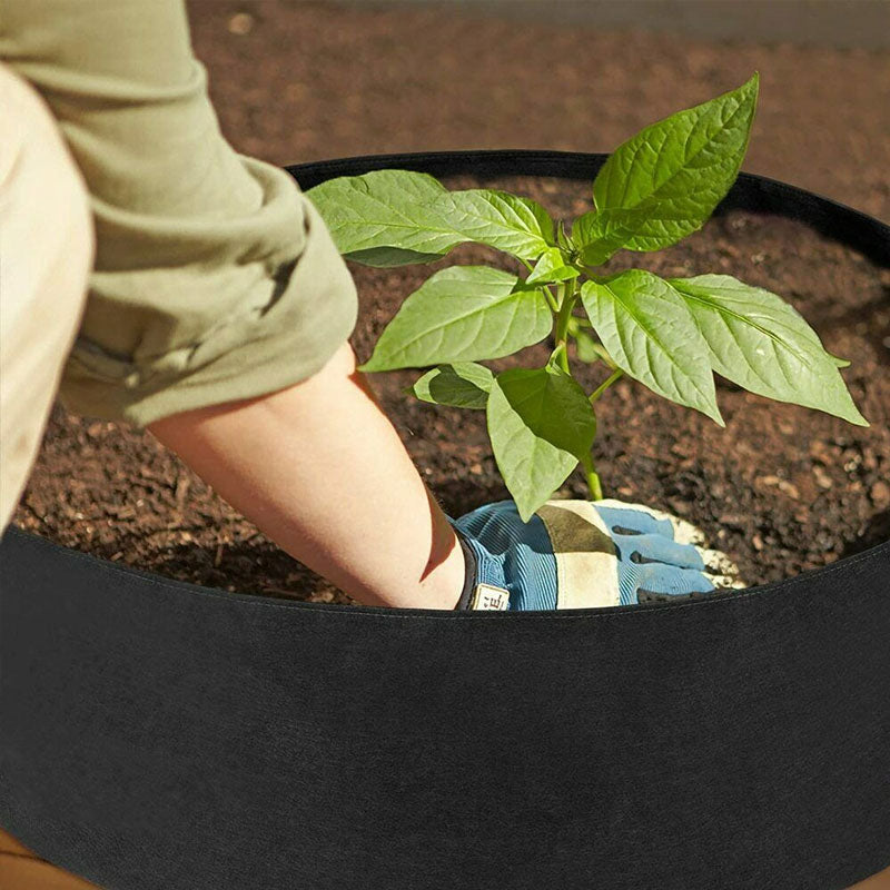 Vegetable Growth Bag