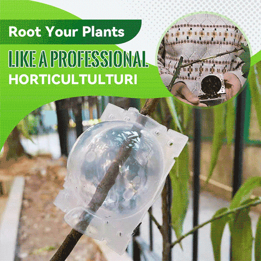 Root Your Plants  Like A Professional Horticultulturi
