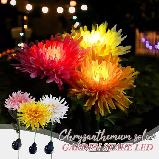 CHRYSANTHEMUM SOLAR GARDEN STAKE LED