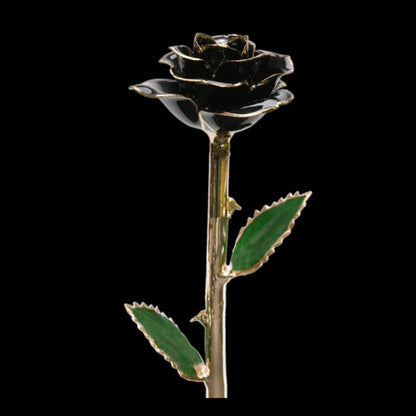 24k Gold Plated Roses❤️- Black