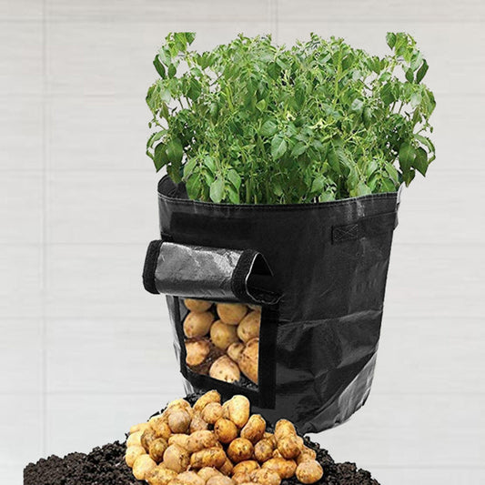 Vegetables Grow Planter PE Container Bag