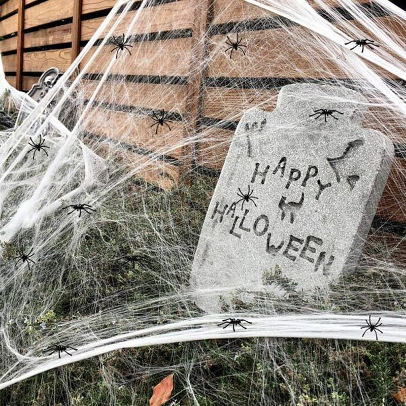 HALLOWEEN SPIDER WEB