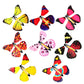 Magic Fairy Flying Butterfly(BG250710044)