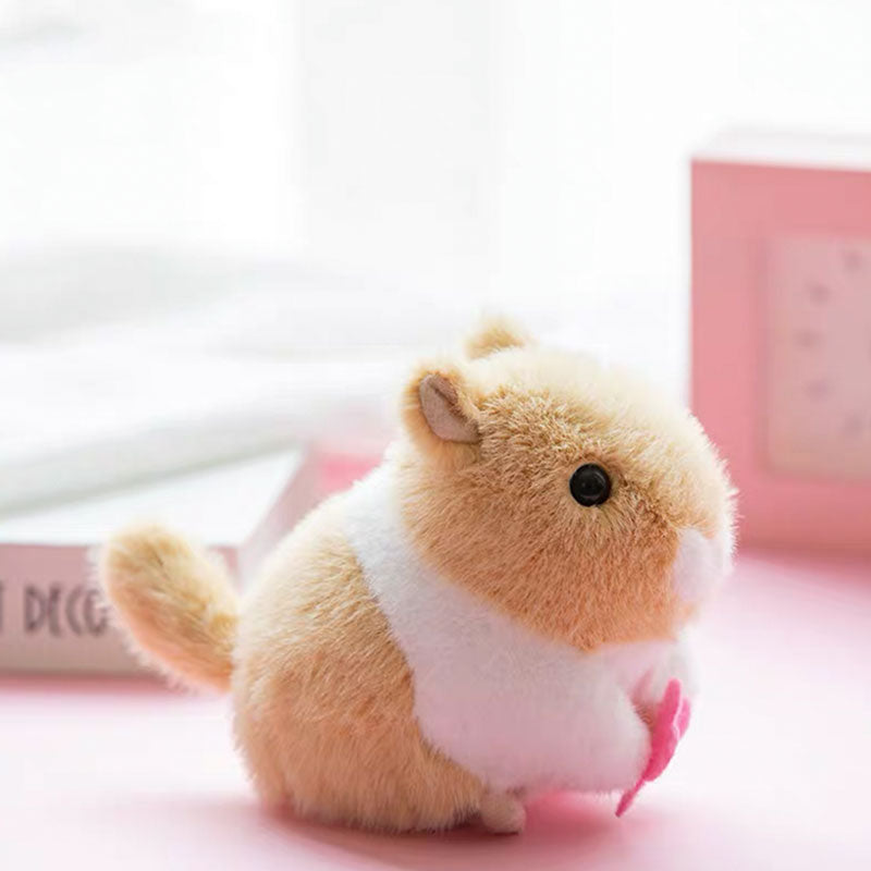 Rabbit Wagging Its Tail