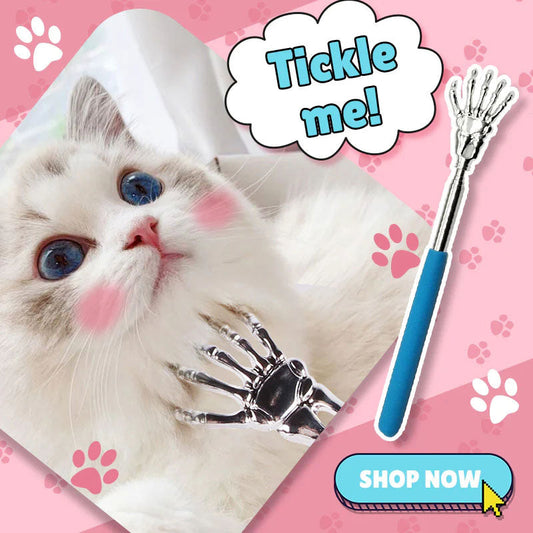 Cat's Favorite Telescopic Scratcher
