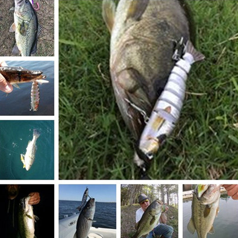 Swimming Fishing Lure