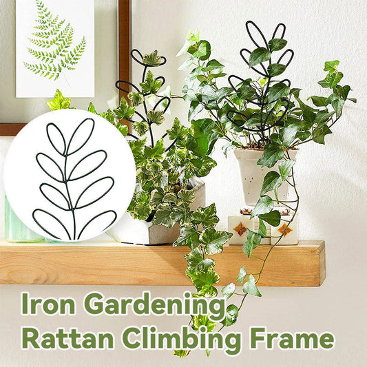 Iron Gardening Rattan Climbing Frame