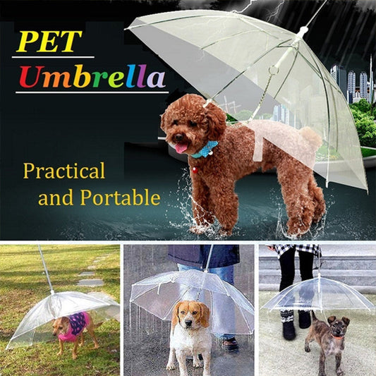 Pet Dog Umbrella