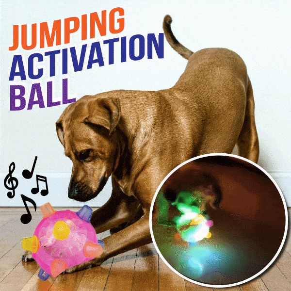 💥Hot Sale💥Jumping Activation Ball for Dogs🐶