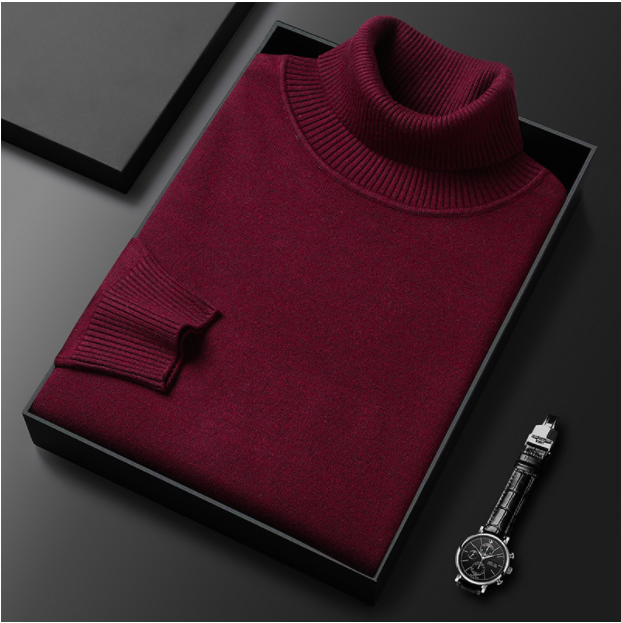 Einfarbiger Rollkragenpullover für Herren/Men's solid color turtleneck sweater