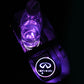 Car LED Cup Holder Lights