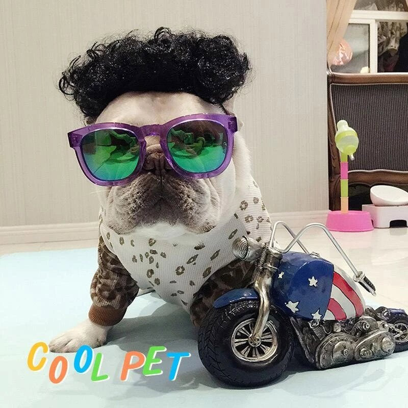 Pet Wig Role-playing Props