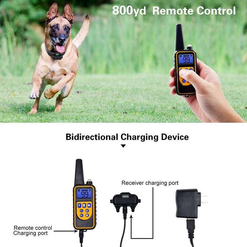 Dog Shock Collar with Remote Control