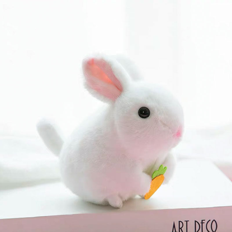 Rabbit Wagging Its Tail