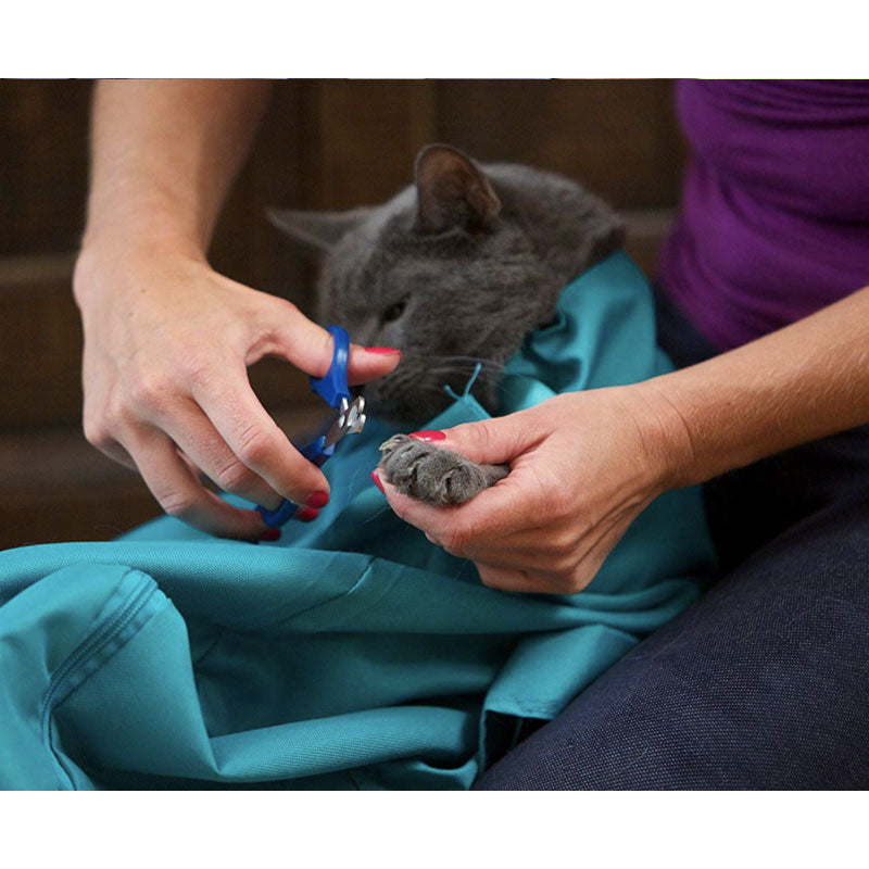 Buy One And Get One FREE:Cat Carrier Pouch