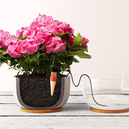 Home Gardening Automatic Watering Device