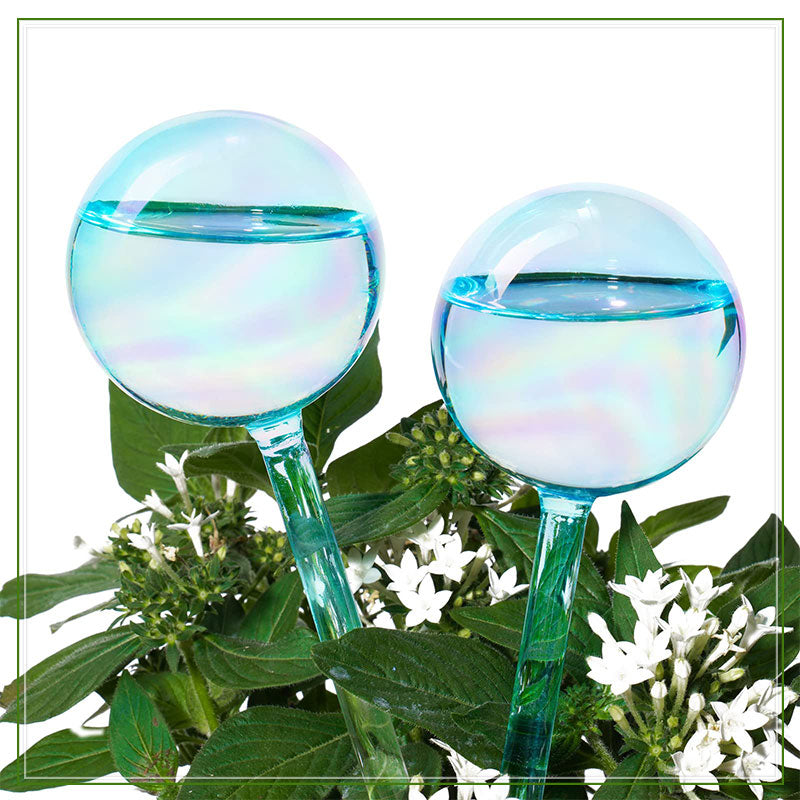 🍭Lollipop Self Watering Globes