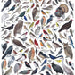 Customized Birds Jigsaw Puzzle