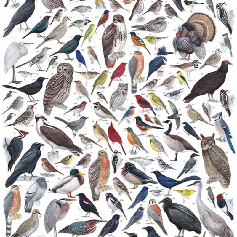 Customized Birds Jigsaw Puzzle
