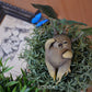 Harry Potter Mandrake Pixie Resin Ornament