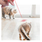 Infrared Funny Cat Stick