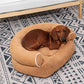Sofa Dog Bed 2022