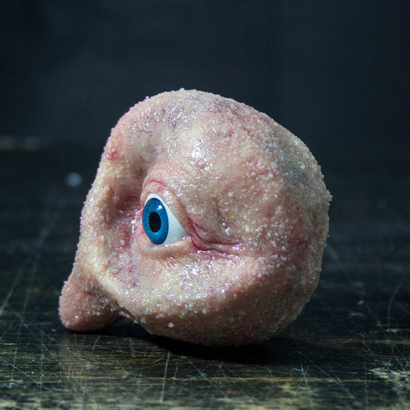 All-purpose Fruit Toy