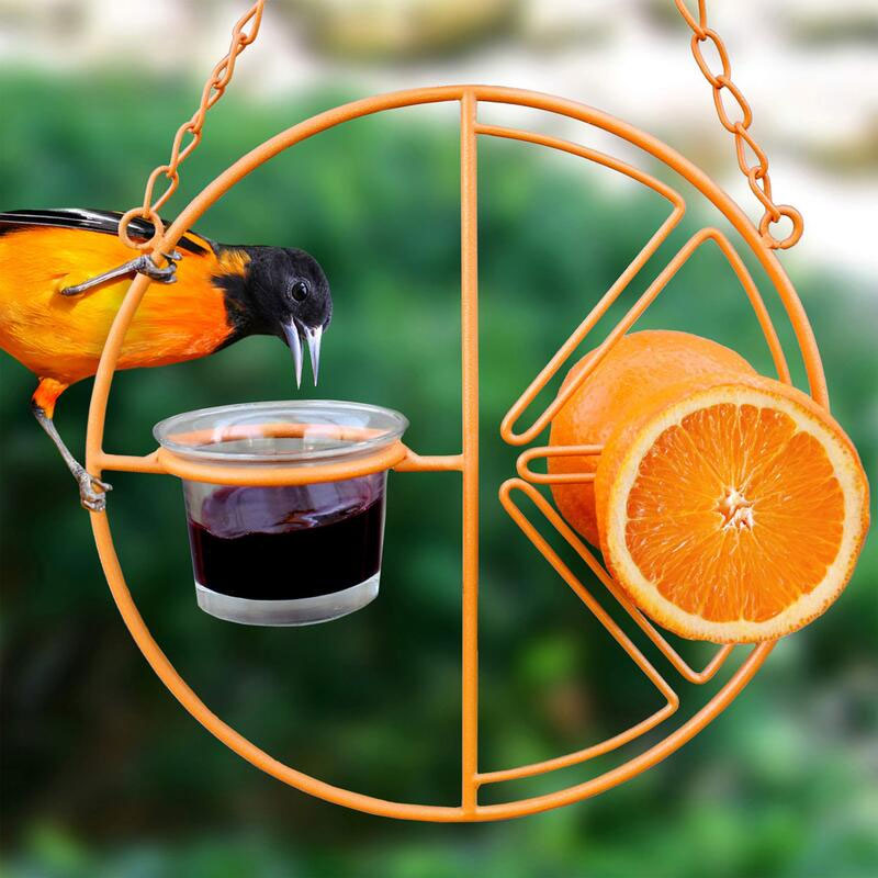 2021 Best Oriole Jelly Wild Bird Feeder