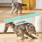 Smart Laser Cat Collar Laser Funny Cat Toy