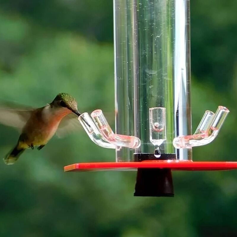 2021 Besst Peter's Hummingbird Feeder