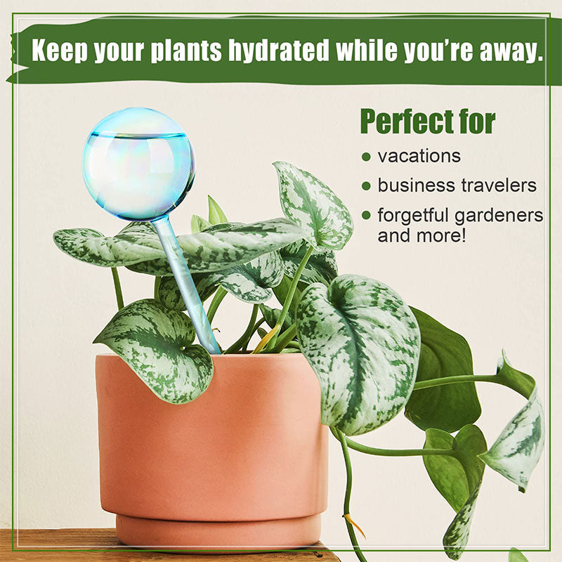 🍭Lollipop Self Watering Globes