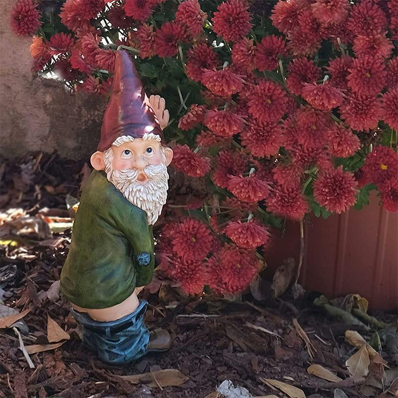 Willy Naughty Peeing Gnome