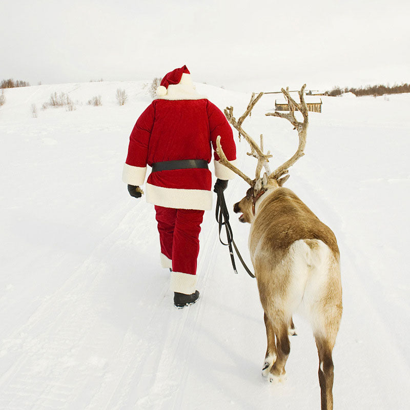 Adult Flannel Santa Suit Costume