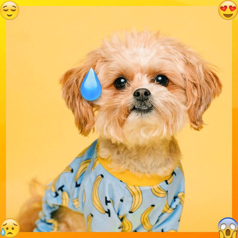 EMOJI PACK SWEATING HAIRPIN