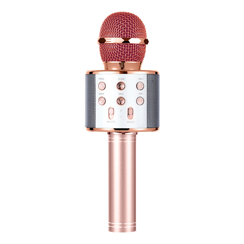 Portable Bluetooth Karaoke Wireless Microphone