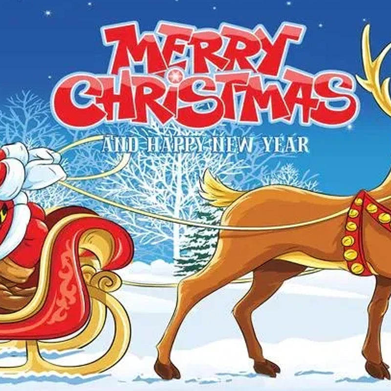 🎁Christmas car door decoration
