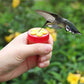 Mini Handheld Flower Hummingbird Feeder