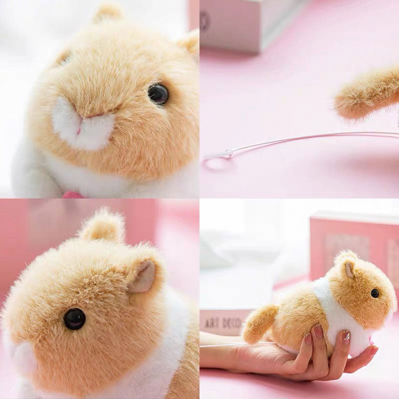 Rabbit Wagging Its Tail