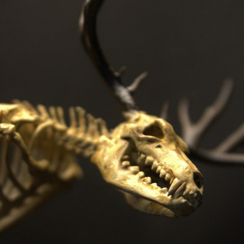 Wendigo Skeleton, Curiosity Cabinet