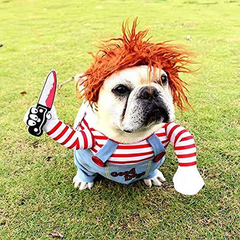 Halloween Pet Dog Cowboy Rider Costume