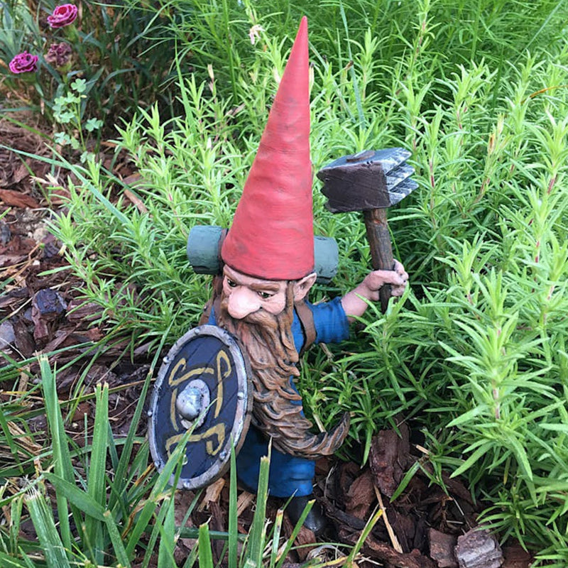 Garden Gnomes Decorate The of Guard