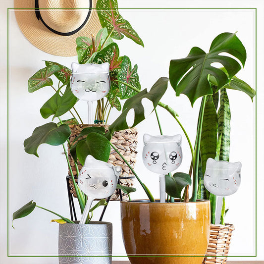 ☘Automatic Plant Waterer