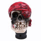Universal Car Gear Shift Knobs Skull Head